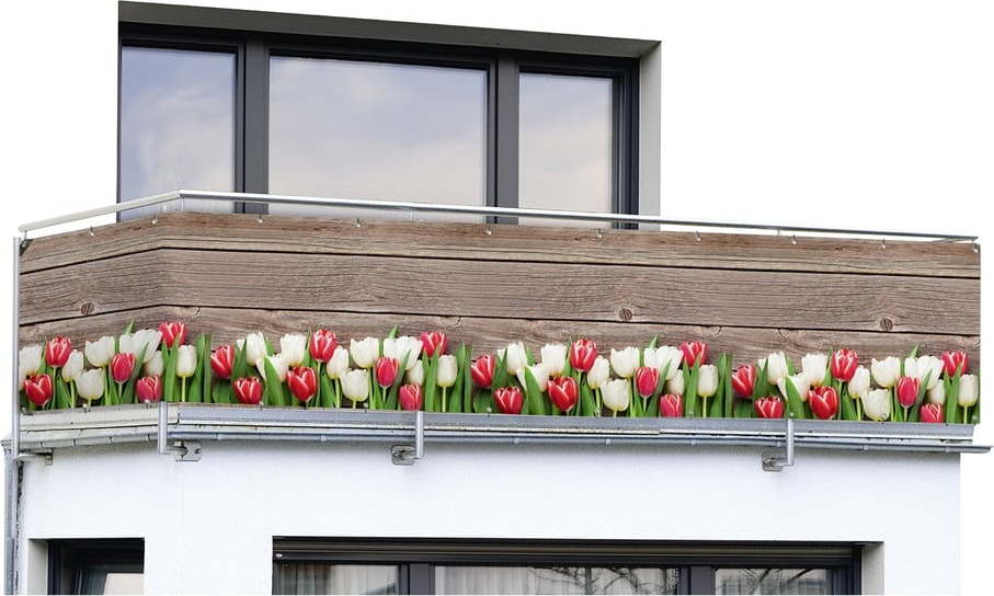 Hnědá plastová balkonová zástěna 500x85 cm Tulips – Maximex Maximex